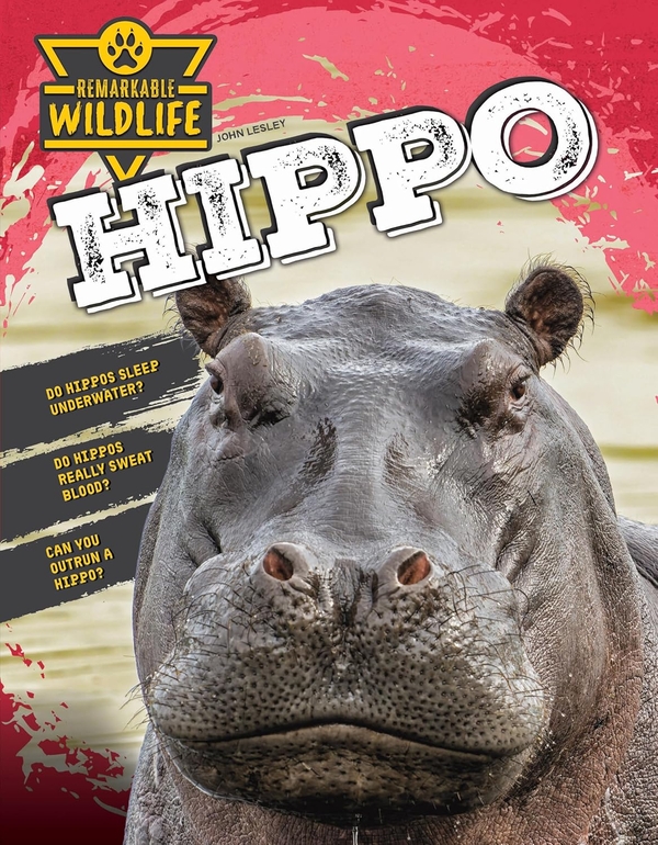 Бумажная книга «Hippopotamus (Hippo)», автор Джон Лесли - фото №1