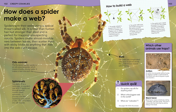 Бумажная книга «Do You Know About Animals? Brilliant Answers to more than 200 Amazing Questions!» - фото №1