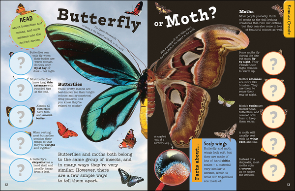 Бумажная книга «Bugs Ultimate Factivity Collection. Create your own Fun-packed Book! » - фото №1
