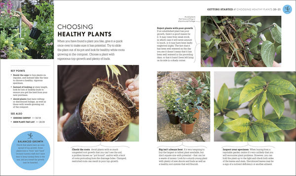 [object Object] «RHS How To Garden When You're New To Gardening. The Basics For Absolute Beginners» - фото №5 - мініатюра