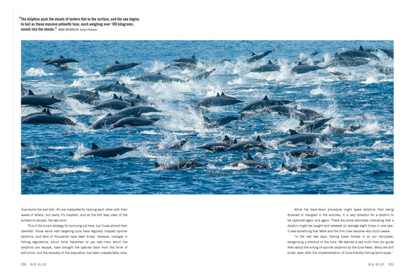 Бумажная книга «Blue Planet II», авторов Джеймс Ханиборн, Марк Браунлоу - фото №1