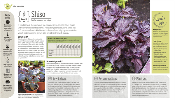 Бумажная книга «Incredible Edibles. Grow Something Different in Your Fruit and Veg Plot», автор Мэтью Биггс - фото №1
