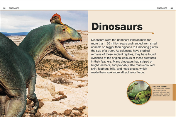 Паперова книга «Dinosaurs. Facts at Your Fingertips» - фото №1