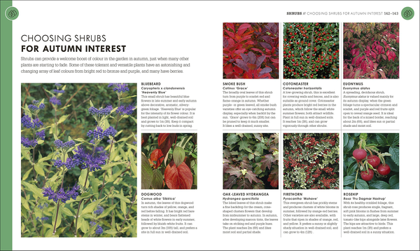 [object Object] «RHS How To Garden When You're New To Gardening. The Basics For Absolute Beginners» - фото №6 - мініатюра
