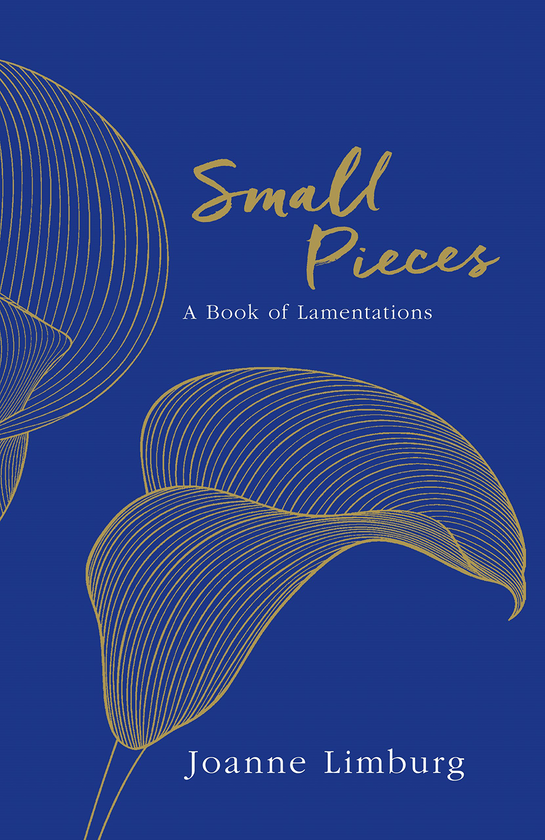 Паперова книга «Small Pieces. A Book of Lamentations», автор Джоан Лімбург - фото №1
