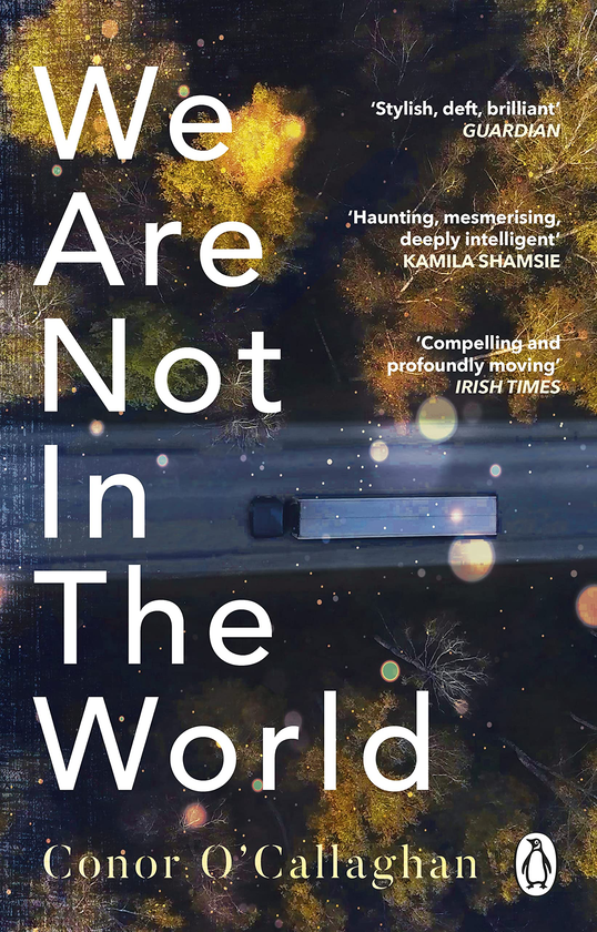 Паперова книга «We Are Not in the World», автор Конор О'Каллаген - фото №1