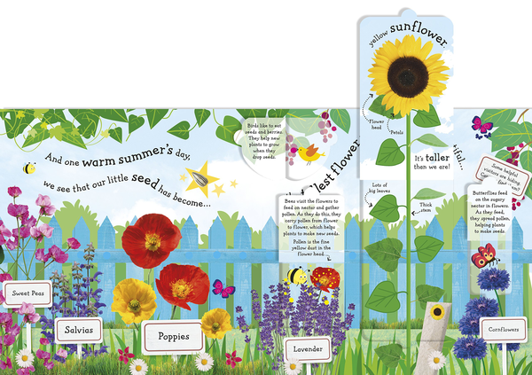 Бумажная книга «RHS I Can Grow A Sunflower» - фото №1