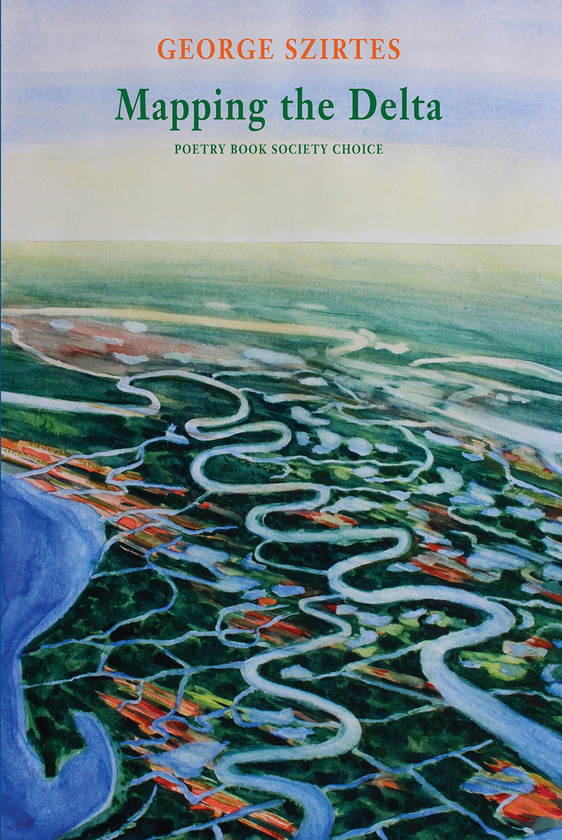 Бумажная книга «Mapping the Delta», автор Джордж Сиртеш - фото №1