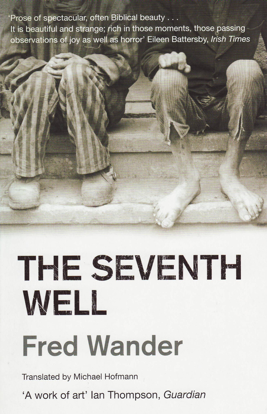Бумажная книга «The Seventh Well», автор Фред Уандер - фото №1