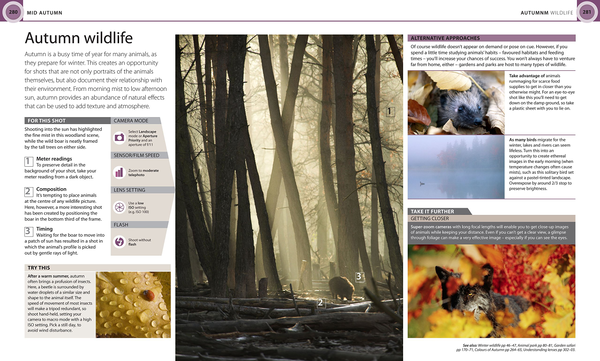Бумажная книга «Digital Photography Month by Month. Capture Inspirational Images in Every Season», автор Том Анг - фото №1