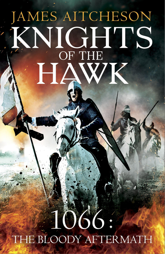 Бумажная книга «Knights of the Hawk», автор Джеймс Айтчесон - фото №1