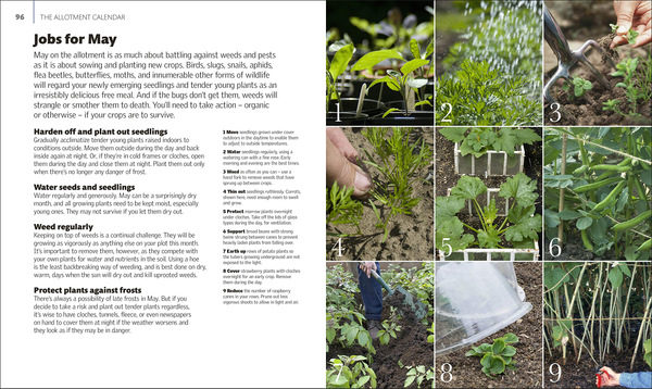 Паперова книга «Allotment Month By Month. Grow your Own Fruit and Vegetables, Know What to do When», автор Алан Букінгем - фото №1