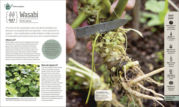 Бумажная книга «Incredible Edibles. Grow Something Different in Your Fruit and Veg Plot», автор Мэтью Биггс - фото №1