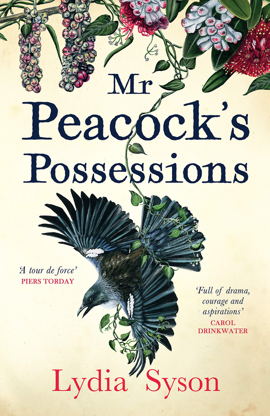 Паперова книга «Mr Peacock's Possessions», автор Лідія Сисон - фото №1