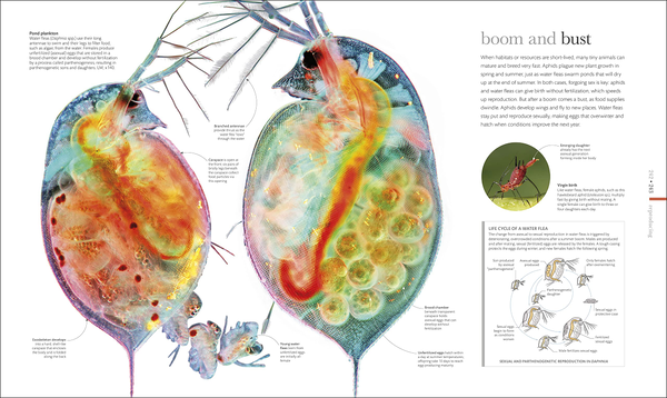 Бумажная книга «Micro Life» - фото №1