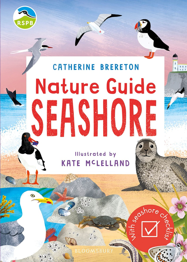 Паперова книга «Nature Guide. Seashore», автор Кетрін Бреретон - фото №1