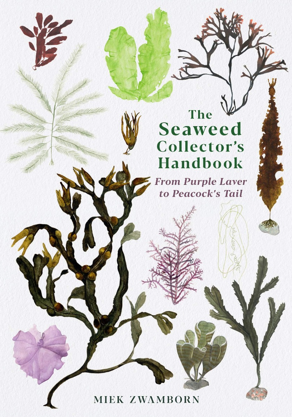 Бумажная книга «The Seaweed Collector's Handbook», автор Мик Звамборн - фото №1