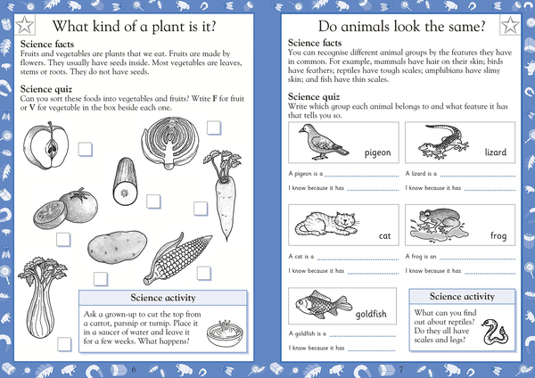 [object Object] «Science Made Easy Ages 5–6 Key Stage 1», автор Кэрол Вордерман - фото №4 - миниатюра