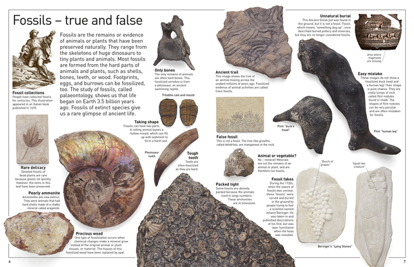 Бумажная книга «Fossil» - фото №1