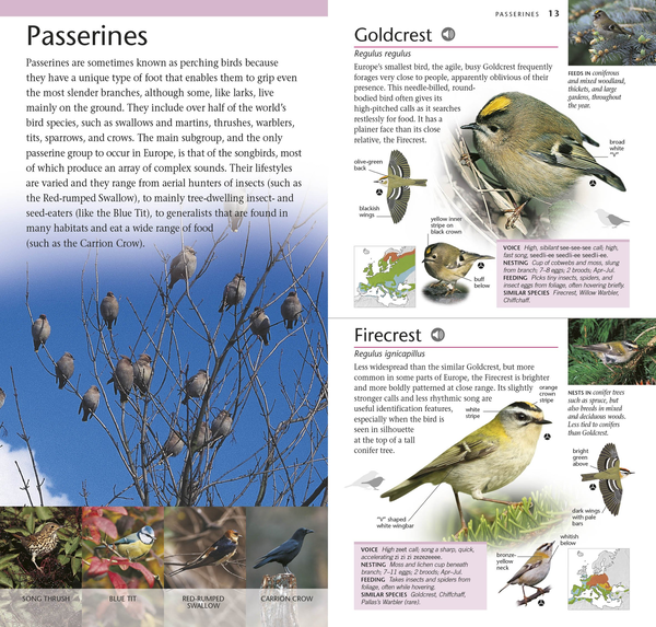Бумажная книга «RSPB Pocket Birds of Britain and Europe» - фото №1