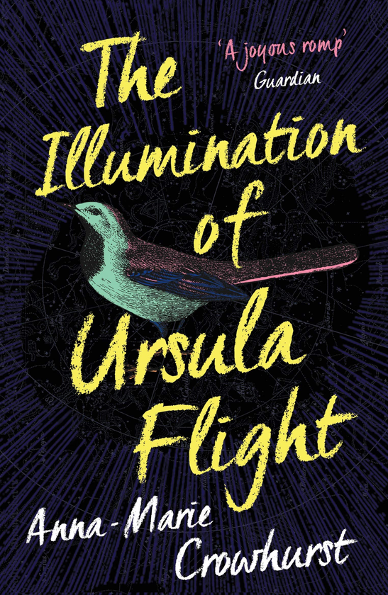 Бумажная книга «The Illumination of Ursula Flight», автор Анна-Мари Кроухерст - фото №1