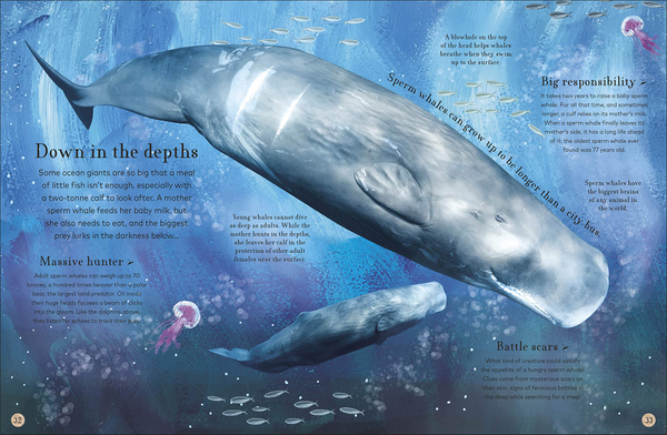 Паперова книга «Through the Animal Kingdom. Discover Amazing Animals and Their Remarkable Homes», автор Дерек Гарві - фото №1