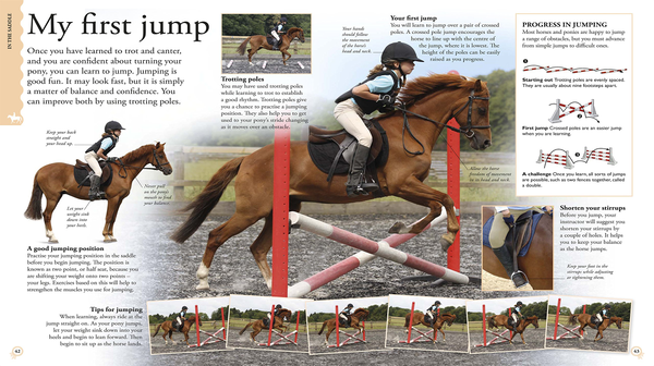 Бумажная книга «How To...Horse Riding. A Step-by-Step Guide to Mastering Your Skills» - фото №1