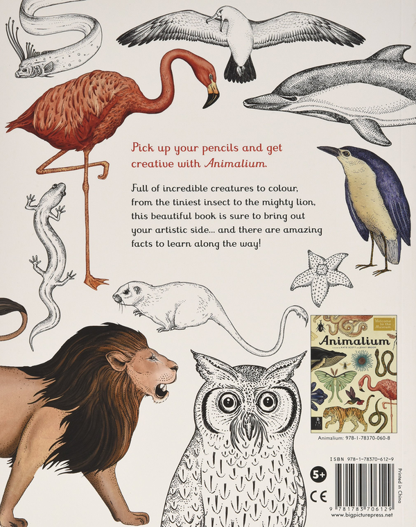 Паперова книга «Animalium Colouring Book», автор Кейт Бейкер - фото №1
