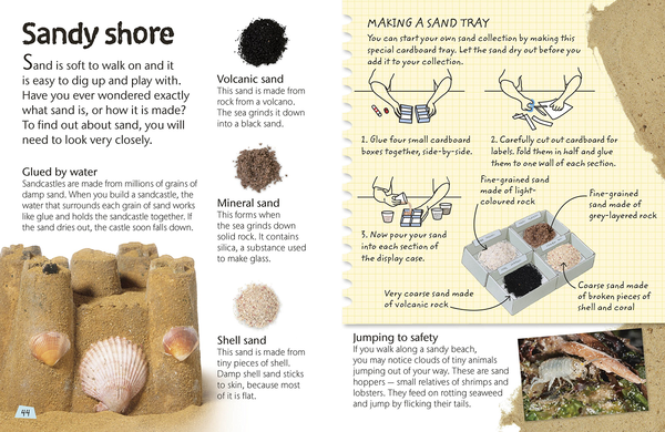 Бумажная книга «Seashore. Explore Nature with Fun Facts and Activities» - фото №1
