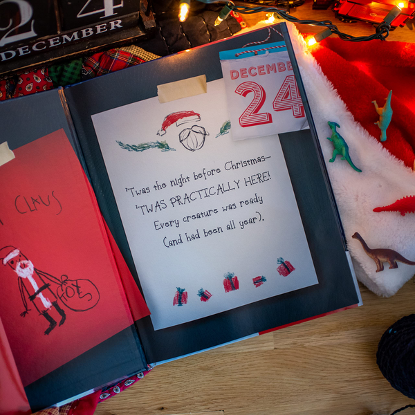 Бумажная книга «What the Dinosaurs Did the Night Before Christmas», авторов Рефе Тума, Сьюзен Тума - фото №1