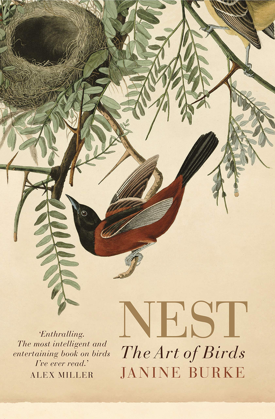 Бумажная книга «Nest. The art of birds», автор Джанин Бурк - фото №1