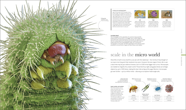 Бумажная книга «Micro Life» - фото №1