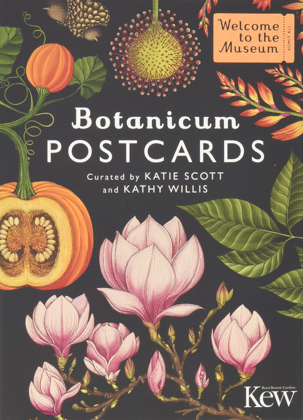 Паперова книга «Botanicum Postcards», автор Кесі Вілліс - фото №1