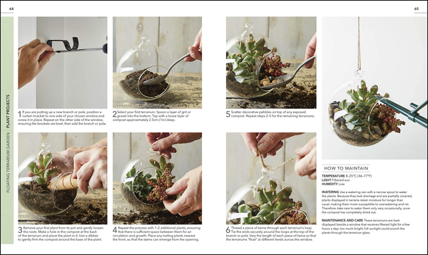 [object Object] «RHS Practical Cactus and Succulent Book. How to Choose, Nurture, and Display more than 200 Cacti and Succulents» - фото №6 - мініатюра