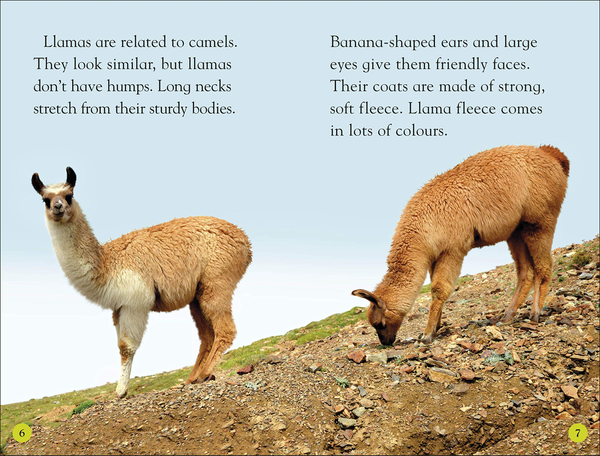 Бумажная книга «Llamas» - фото №1