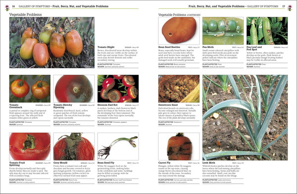 Бумажная книга «RHS Pests and Diseases», авторов Пиппа Гринвуд, Эндрю Холстед - фото №1