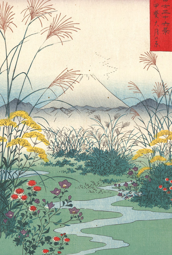 Паперова книга «Hiroshige: from series 36 » - фото №1
