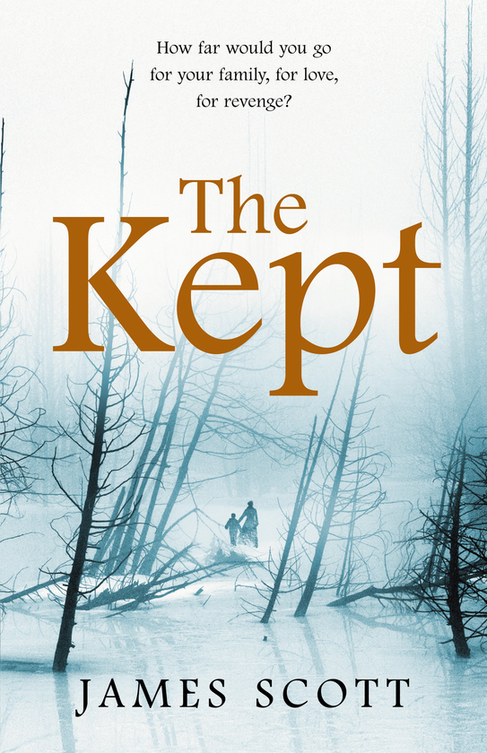 Бумажная книга «The Kept», автор Джеймс Скотт - фото №1