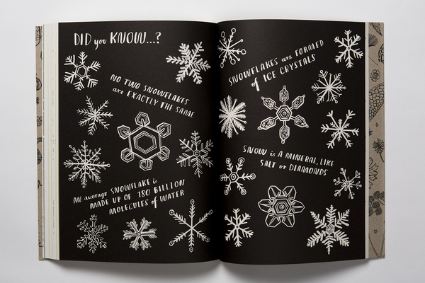 Паперова книга «Hello Nature. Draw, Collect, Make and Grow», автор Ніна Чакрабарті - фото №1
