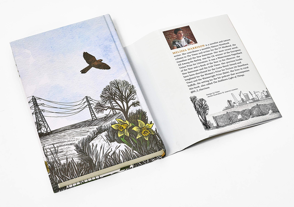 Паперова книга «The Stubborn Light of Things », автор Мелісса Харрісон - фото №1