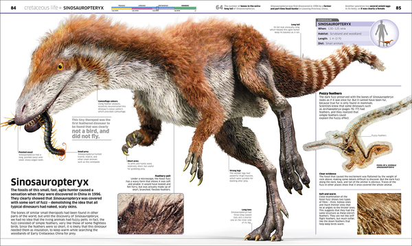 Бумажная книга «Knowledge Encyclopedia Dinosaur! Over 60 Prehistoric Creatures as You've Never Seen Them Before» - фото №1
