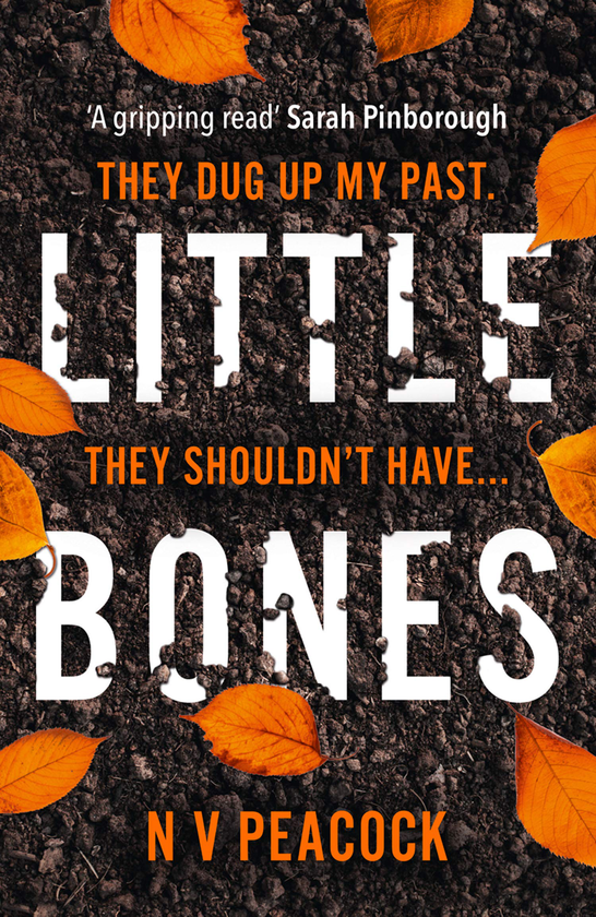 Бумажная книга «Little Bones», автор Н. В. Пикок - фото №1