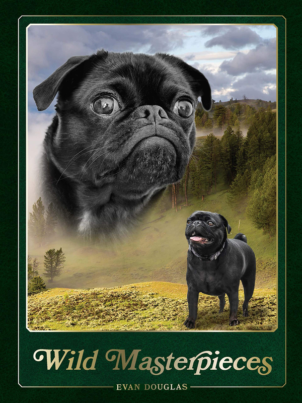 Бумажная книга «Wild Masterpieces: A Collection of Inspiring Animal and Pet Portraits», автор Эван Дуглас - фото №1