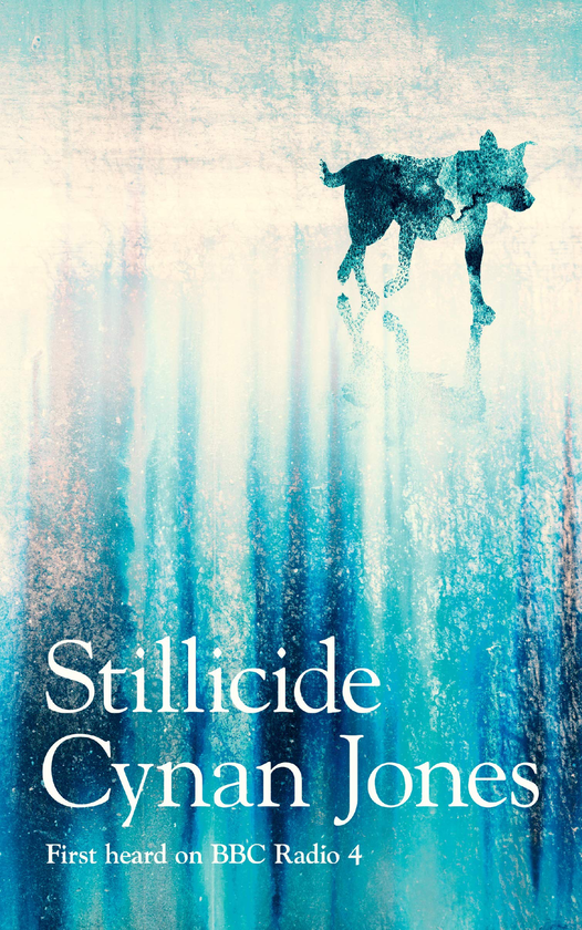 Бумажная книга «Stillicide», автор Кинан Джонс - фото №1