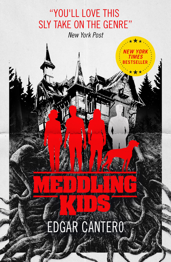 Паперова книга «Meddling Kids», автор Едгар Кантеро - фото №1