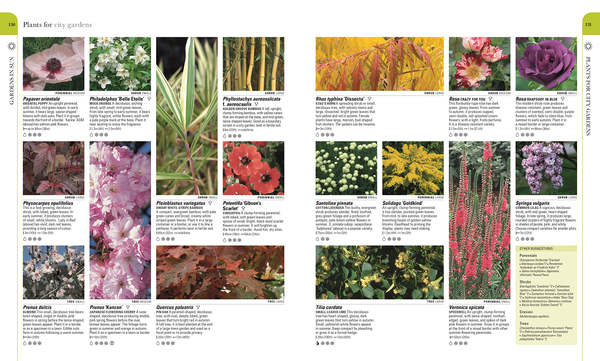 Бумажная книга «RHS What Plant Where Encyclopedia» - фото №1