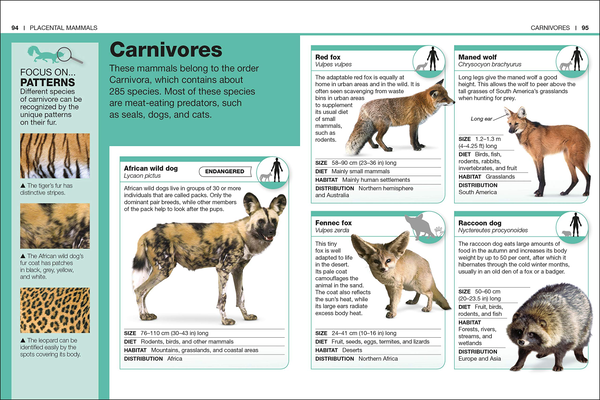 Бумажная книга «Mammals. Facts at Your Fingertips» - фото №1