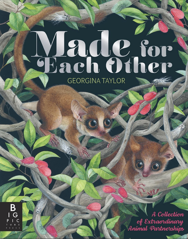 [object Object] «Made for Each Other», автор Джоанна МакИнерни - фото №1