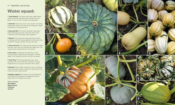 Бумажная книга «RHS Step-by-Step Veg Patch», автор Люси Халсолл - фото №1