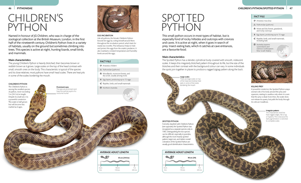 Бумажная книга «Snake. The Essential Visual Guide», автор Крис Маттисон - фото №1